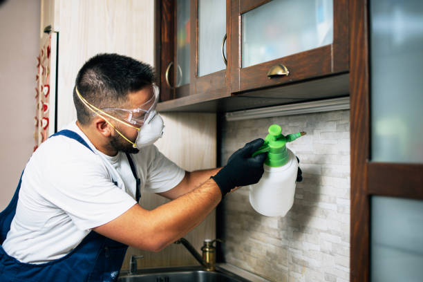 Best Residential Pest Control  in Poynette, WI