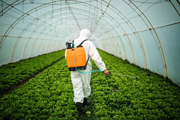 Best Pest Control for Homes  in Poynette, WI